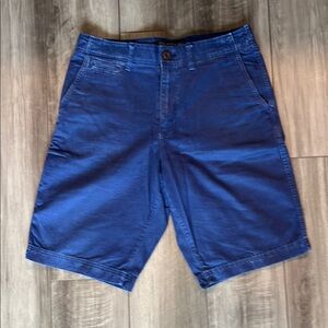 American Eagle Outfitters Blue Flat Front Shorts